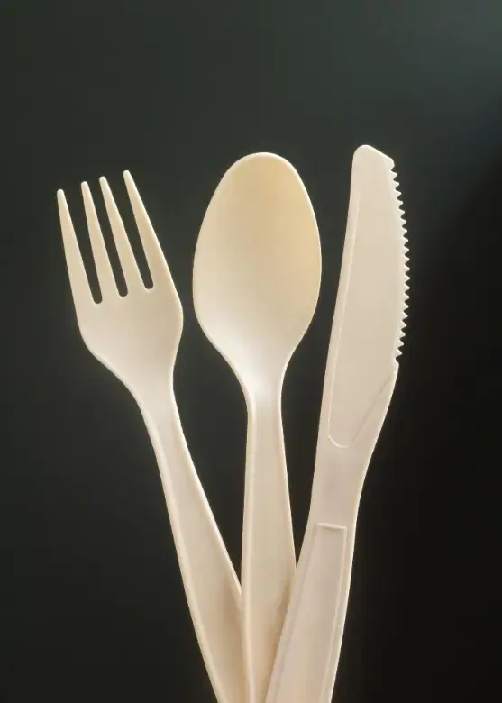 disposable-cutlery-arrangement.webp